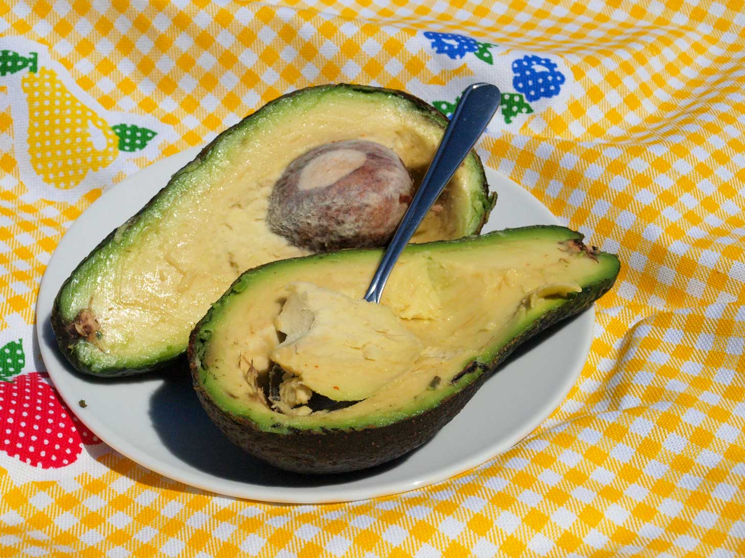 Avokado? Da, svakako