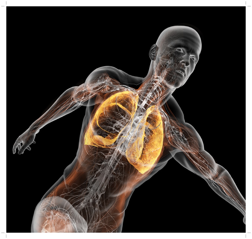 Dijafragma – pandorina kutija tijela